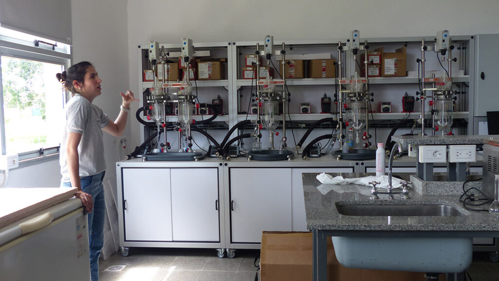 Dia del investigador