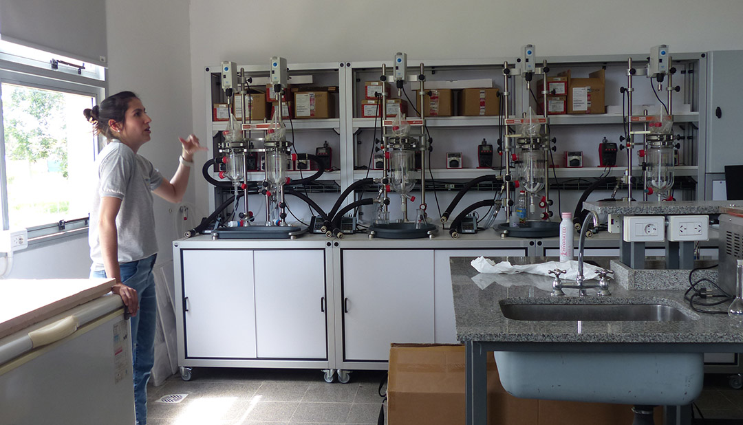 Dia del investigador